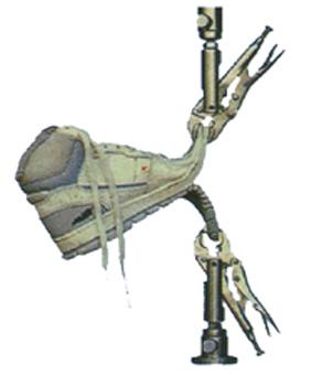 �����C�A��**�Q�A��